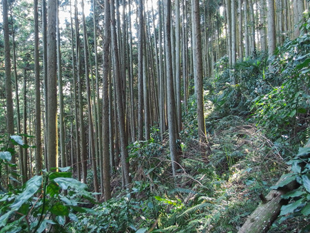 久我大納言へ続く道