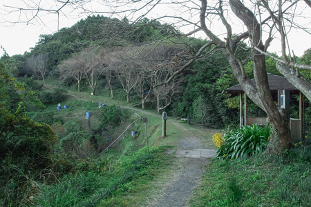 東海自然歩道 薩埵峠