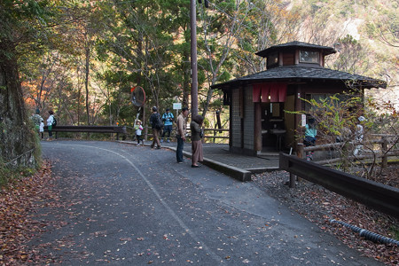 天子の香和家