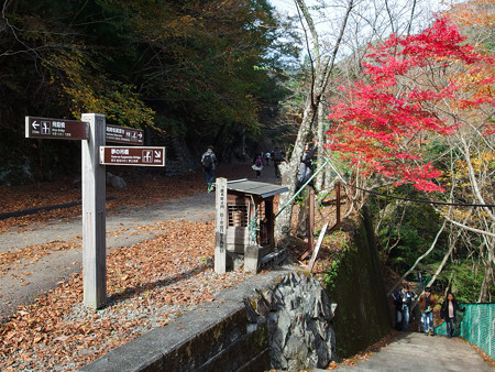 えっちら階段上の分岐