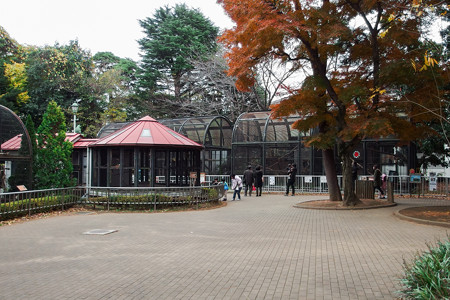 大宮公園小動物園 サル舎