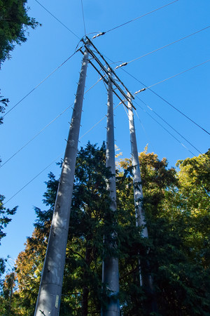 大晦日の電柱