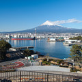 Photos: 田子の浦みなと公園から眺める富士山