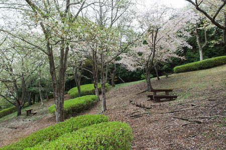 天母山自然公園