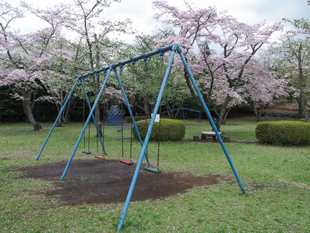 天母山自然公園 4人用ブランコ