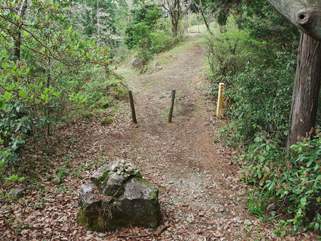 明星山登山道 小明星への分岐