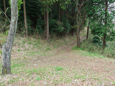 明星山登山道 東登山口への分岐