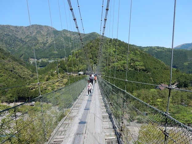 DSCN0593 渡ります 写真: DSCN0593 渡ります