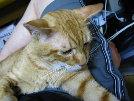 2010N91̒g̃{N`(U)