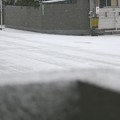 Photos: 2016年1月24日の寒波襲来、初雪（下関市）