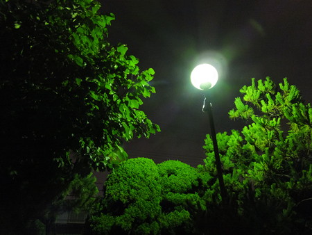 公園の街灯