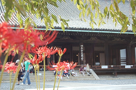 京都 三十三間堂 蓮華王院