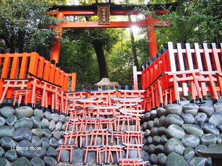 京都伏見稲荷2014年05月04日_P5040711