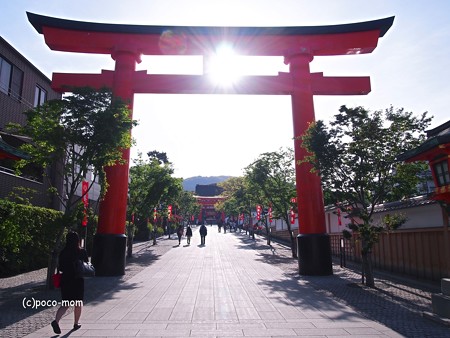 京都伏見稲荷2014年05月04日_P5040645