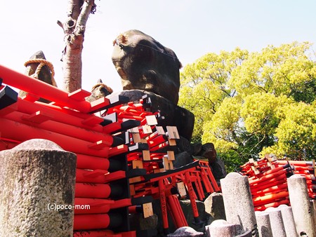 京都伏見稲荷2014年05月04日_P5040769