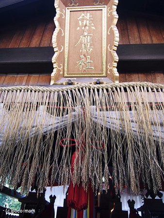 京都伏見稲荷2014年05月04日_P5040788