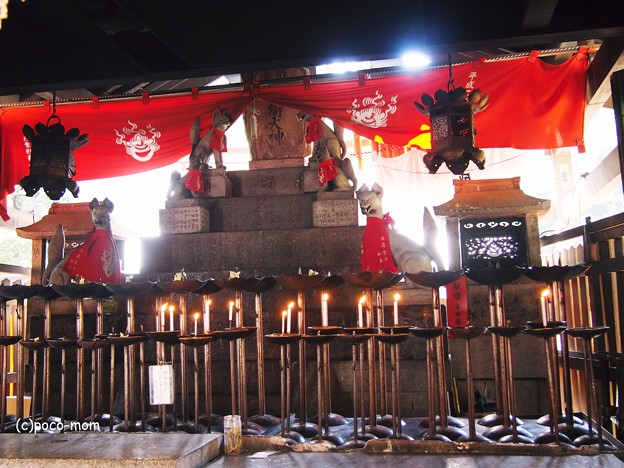 京都伏見稲荷大社　熊鷹社2014年05月04日_P5040721