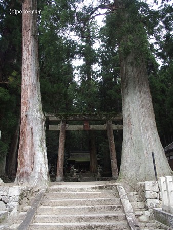 女人高野 室生寺 2 弥勒堂、国宝釈迦如来坐像 | 北迫薫の 日本 女人高野 室生寺 2 弥勒堂、国宝釈迦如来坐像 | 北迫薫の 日本