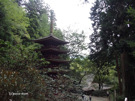 室生寺 五重塔P9210095
