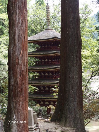 室生寺 五重塔P9210140
