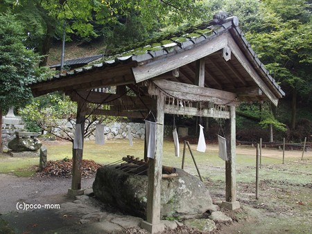 雷山雷神社 PA120371
