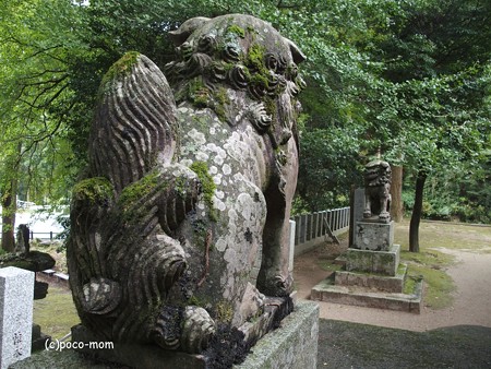雷山雷神社 PA120392