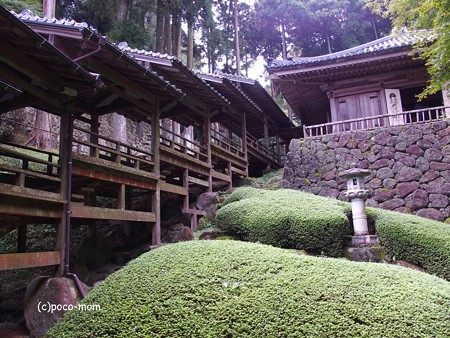 福岡県糸島 雷山観音開山堂 PA120432