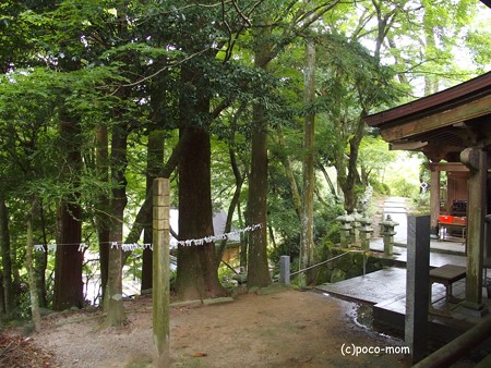 雷山観音堂PA120431