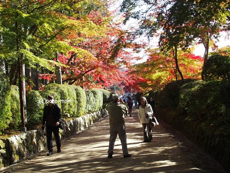 高野山 根本大塔蛇腹道PB030595