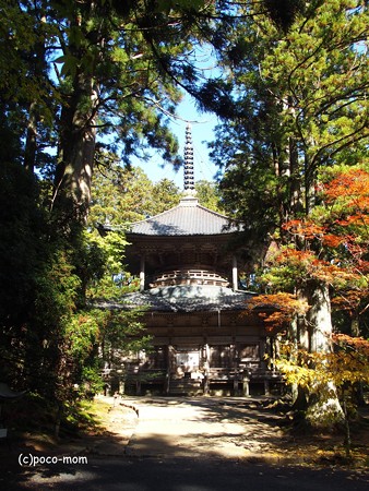 高野山根本大塔 西塔 PB030658