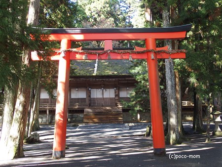 高野山壇上伽藍 山王院 PB030662