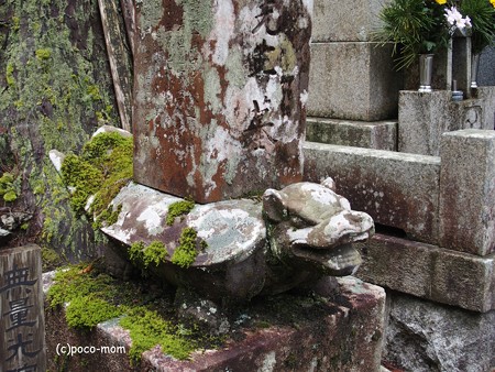 高野山奥の院 贔屓 PB030706