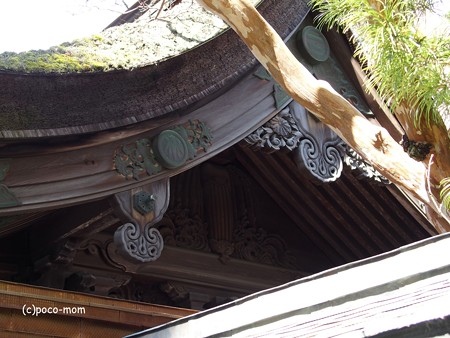 高野山遍照光院 正門脇 PB030736