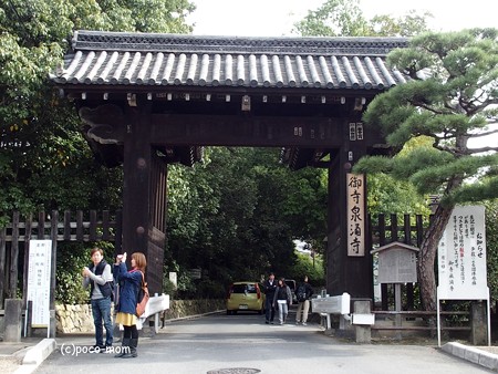 泉涌寺 大門 PB010121