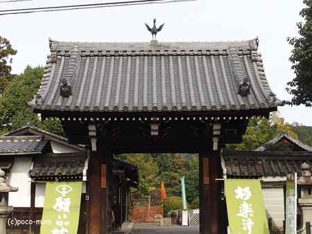 泉涌寺塔頭 即成院 PB010122