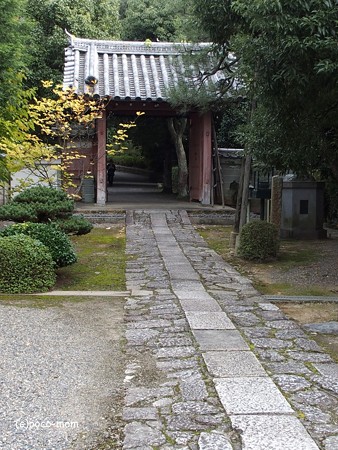 泉涌寺塔頭悲田院 PB010142