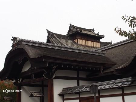 三十三間堂本坊妙法院 PB010166