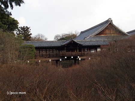 東福寺 P1110126