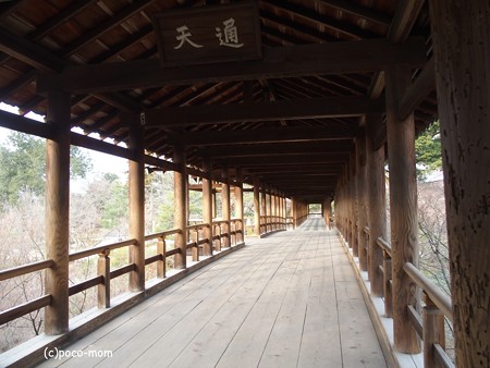 東福寺 通天橋 P1110260