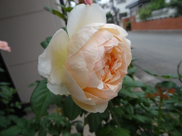 10jude26071802