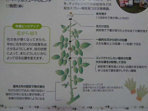 12hanaga26071801
