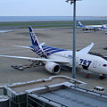 Boeing 787 in Tokyo International Airport