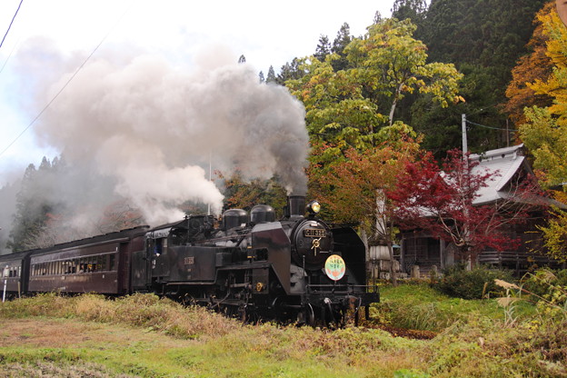 Sl只見線紅葉号 写真共有サイト フォト蔵