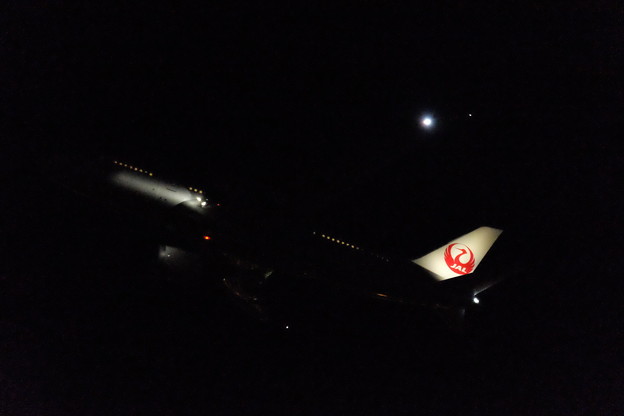 夜JAL