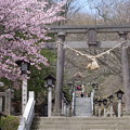 Photos: 那須 温泉神社 鳥居