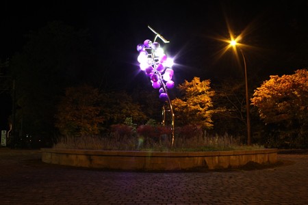 IMG_8262