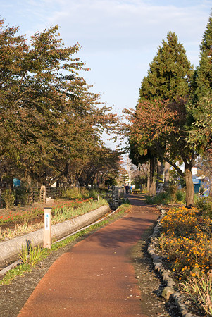 遊歩道の紅葉