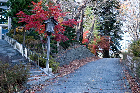 神社の紅葉