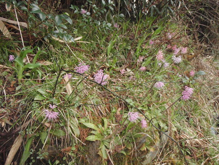 P4060012