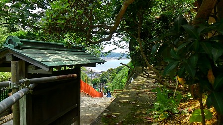 20160514湘南、鎌倉 (16)